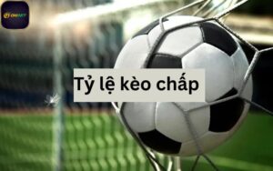 diem-ten-mot-so-the-loai-ty-le-keo-chap
