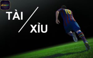 noi-dung-so-luoc-ve-tai-xiu-bong-da